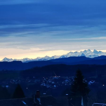 Alpenpanorama Haegelberg Appartement Steinen  Buitenkant foto